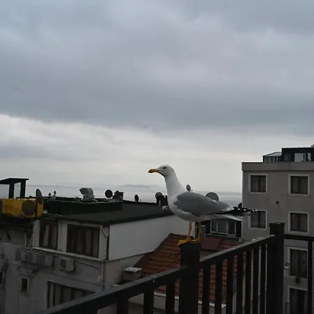 Apartment Albatros