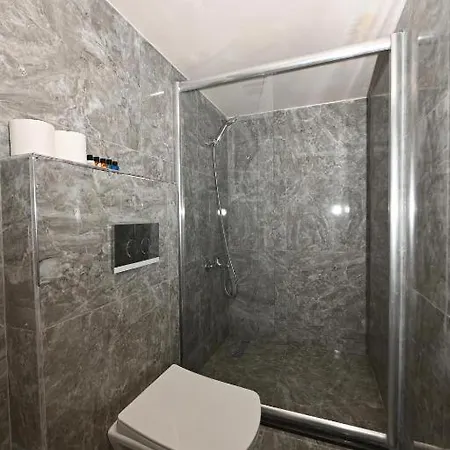 Albatros Provincia di Istanbul