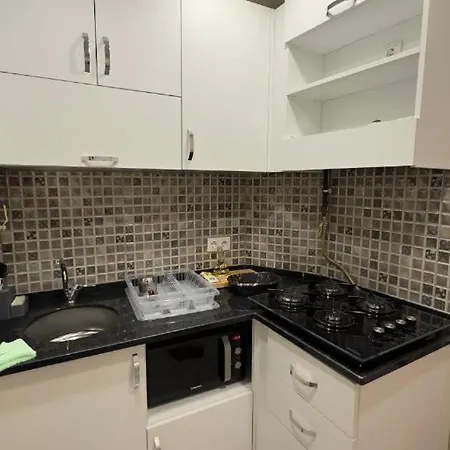 Albatros Provincia di Istanbul