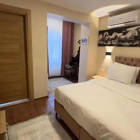 Albatros Provincia di Istanbul